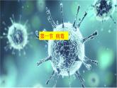 2.3.1  病毒  课件2024年初中秋季济南版生物七年级上册
