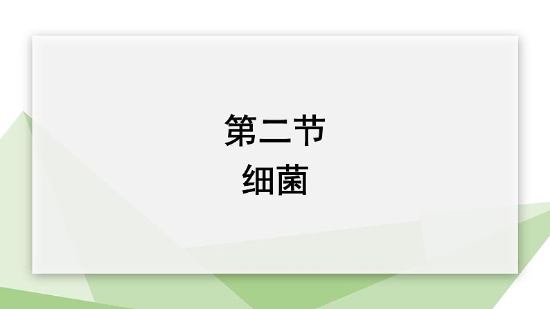 2.3.2 细菌 课件 2024年初中秋季济南版生物七年级上册01