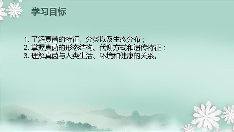 2.3.3  真菌  课件2024年初中秋季济南版生物七年级上册第2页