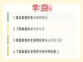 2.3.3真菌课件---2024年初中秋季济南版生物七年级上册