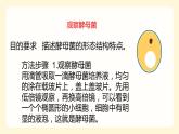 2.3.3真菌课件---2024年初中秋季济南版生物七年级上册