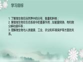2.3.4  微生物在生物圈中的作用  课件2024年初中秋季济南版生物七年级上册