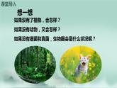 2.3.4  微生物在生物圈中的作用  课件2024年初中秋季济南版生物七年级上册