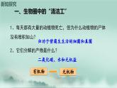 2.3.4  微生物在生物圈中的作用  课件2024年初中秋季济南版生物七年级上册