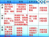 2.3.4 微生物在生物圈中的作用课件2024年初中秋季济南版生物七年级上册