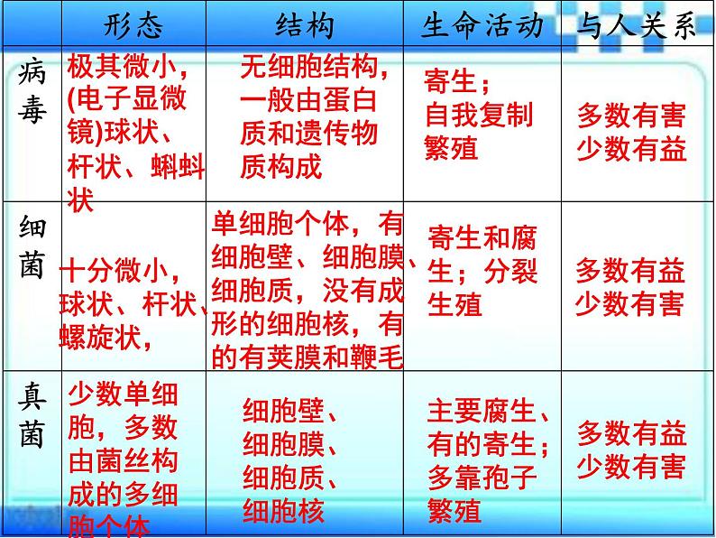 2.3.4 微生物在生物圈中的作用课件2024年初中秋季济南版生物七年级上册02