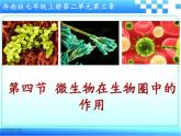 2.3.4 微生物在生物圈中的作用课件2024年初中秋季济南版生物七年级上册