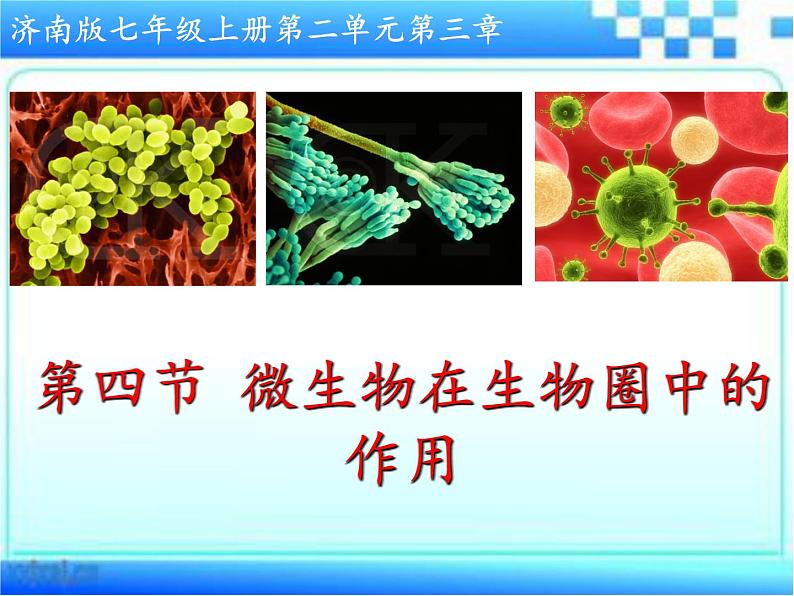 2.3.4 微生物在生物圈中的作用课件2024年初中秋季济南版生物七年级上册04