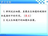 2.3.4 微生物在生物圈中的作用课件2024年初中秋季济南版生物七年级上册