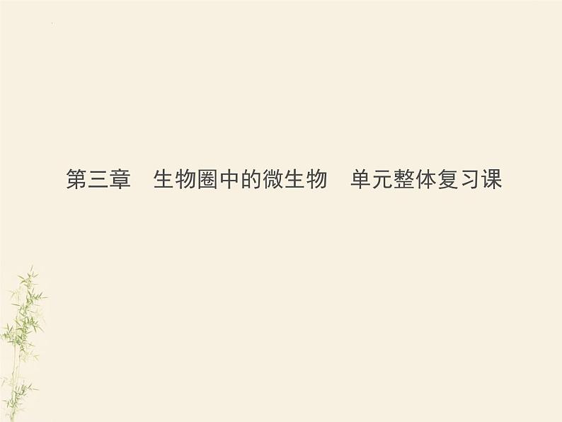 2.3生物圈中的微生物单元整体复习课件-2024年初中秋季济南版生物七年级上册第1页