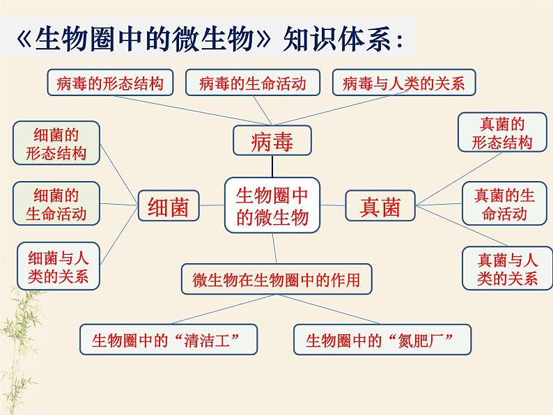 2.3生物圈中的微生物单元整体复习课件-2024年初中秋季济南版生物七年级上册第2页