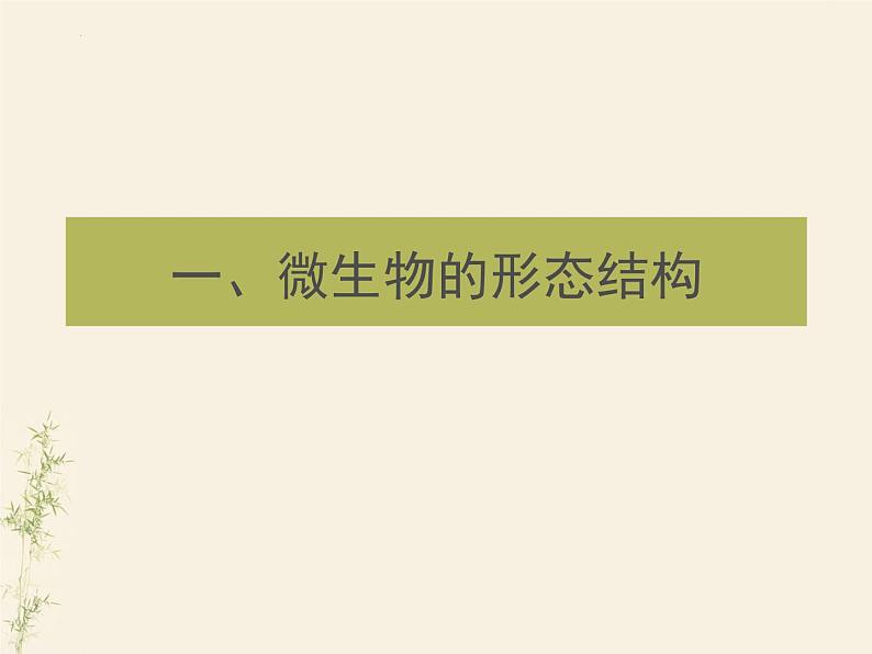 2.3生物圈中的微生物单元整体复习课件-2024年初中秋季济南版生物七年级上册第4页