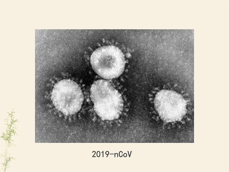 2.3生物圈中的微生物单元整体复习课件-2024年初中秋季济南版生物七年级上册第7页