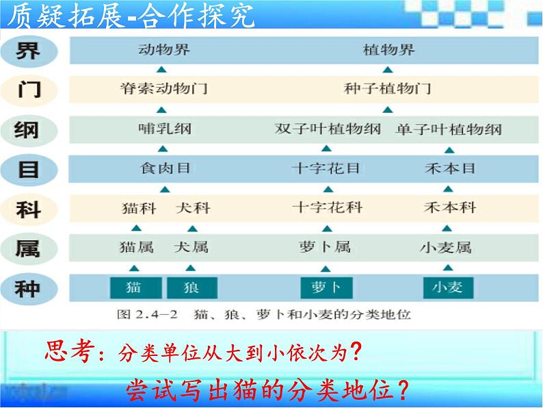 2.4.2 生物的分类单位课件2024年初中秋季济南版生物七年级上册第7页