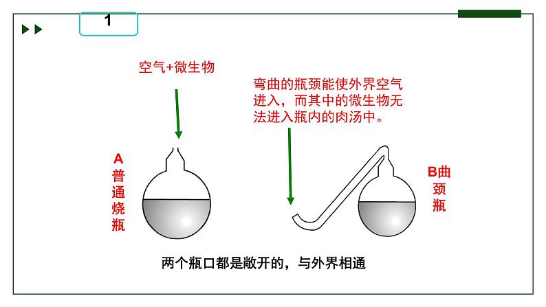 济南版 初中生物七年级上册1.1.2探究实践是研究生命现象的重要途径课件+视频06