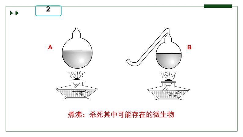 济南版 初中生物七年级上册1.1.2探究实践是研究生命现象的重要途径课件+视频07