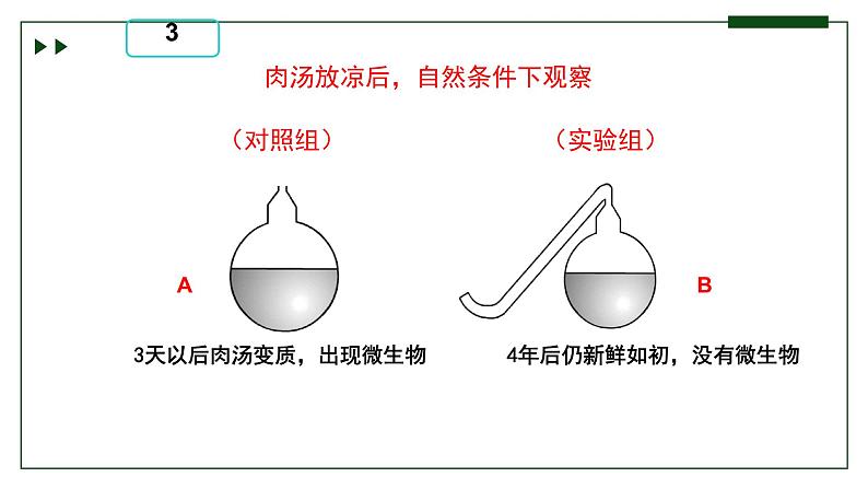 济南版 初中生物七年级上册1.1.2探究实践是研究生命现象的重要途径课件+视频08