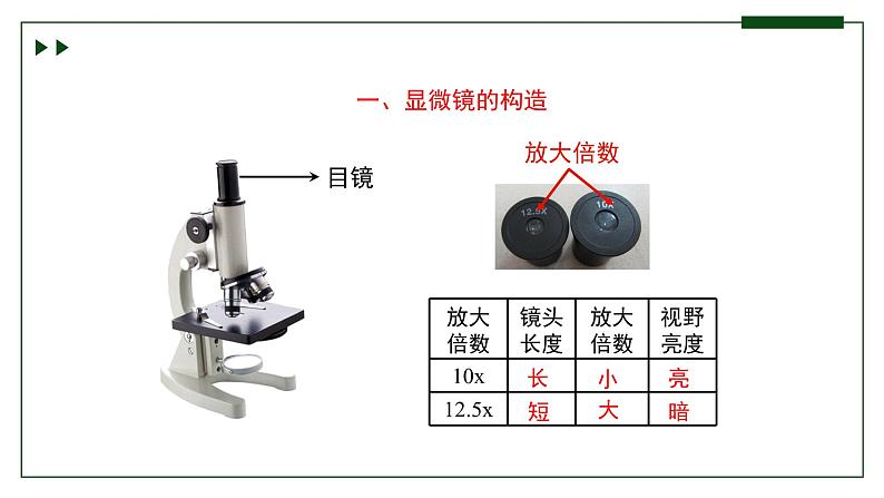 济南版 初中生物七年级上册1.1.3研究生物学需要特定的器具课件+视频05