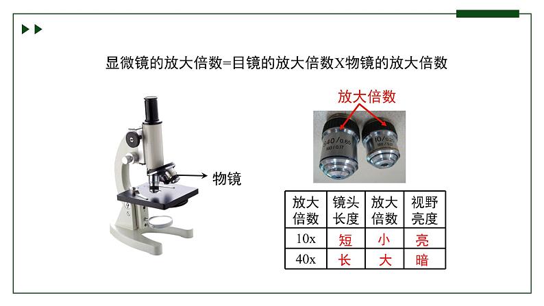 济南版 初中生物七年级上册1.1.3研究生物学需要特定的器具课件+视频06