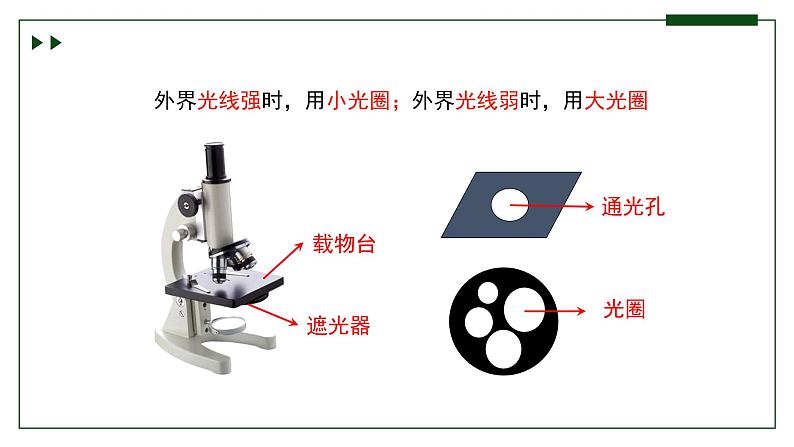 济南版 初中生物七年级上册1.1.3研究生物学需要特定的器具课件+视频07