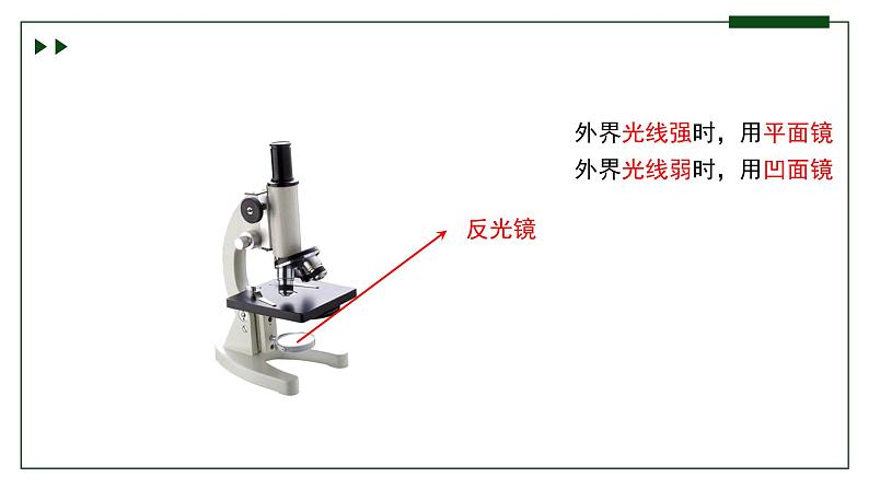 济南版 初中生物七年级上册1.1.3研究生物学需要特定的器具课件+视频08