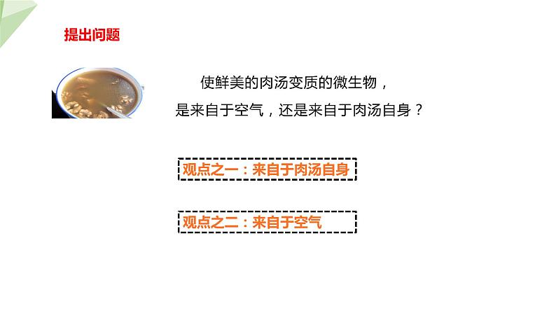 1.1.3 生物学的探究方法 课件 2024年初中秋季济南版生物七年级上册05