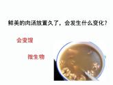 1.1.3生物学的探究方法课件 2024年初中秋季济南版生物七年级上册