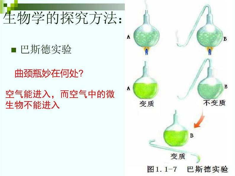 1.1.3生物学的探究方法课件--2024年初中秋季济南版生物七年级上册06