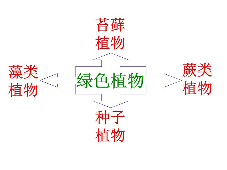 2.1.1绿色植物类群课件2024年初中秋季济南版生物七年级上册03