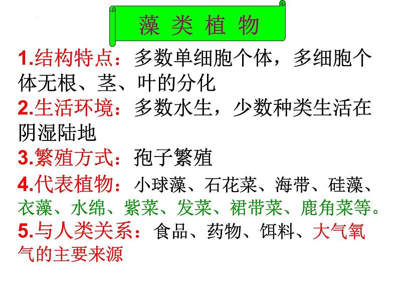 2.1.1绿色植物类群课件2024年初中秋季济南版生物七年级上册04