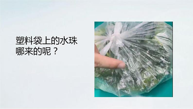 2.1.2 植物的蒸腾作用课件2024年初中秋季济南版生物七年级上册01