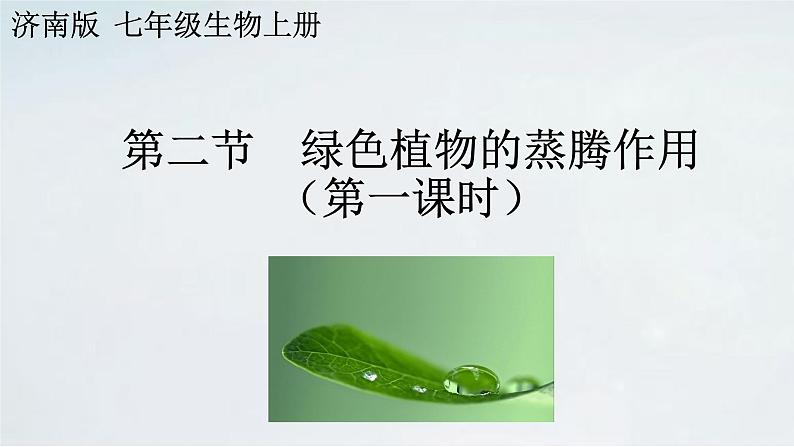 2.1.2 植物的蒸腾作用课件2024年初中秋季济南版生物七年级上册02