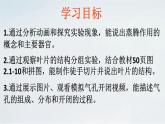 2.1.2 植物的蒸腾作用课件2024年初中秋季济南版生物七年级上册