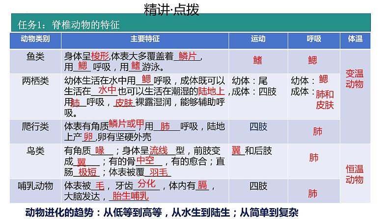 2.2.2动物的类群+-脊椎动物复习课件2024年初中秋季济南版生物七年级上册03