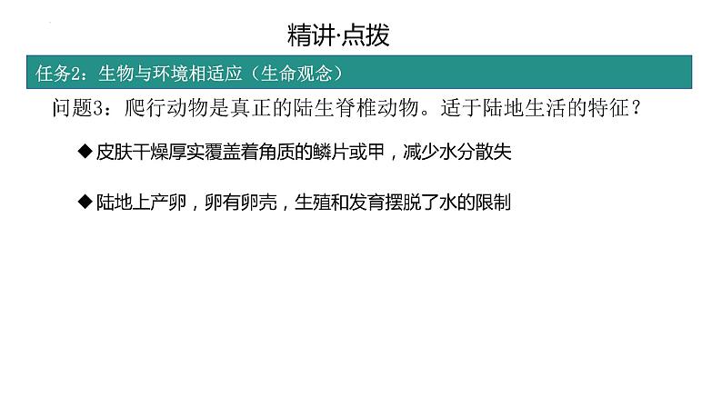 2.2.2动物的类群+-脊椎动物复习课件2024年初中秋季济南版生物七年级上册06