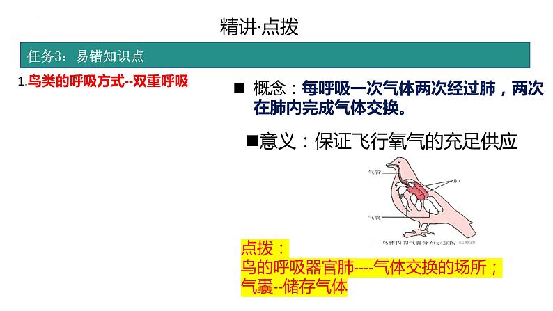 2.2.2动物的类群+-脊椎动物复习课件2024年初中秋季济南版生物七年级上册07