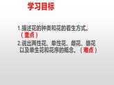 4.1.1花的结构与类型课件---2024年初中秋季济南版生物八年级上册