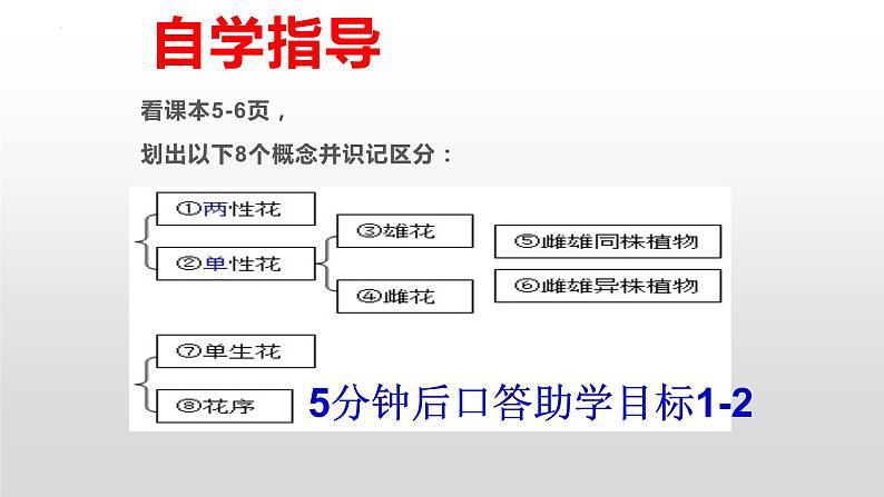 4.1.1花的结构与类型课件---2024年初中秋季济南版生物八年级上册03