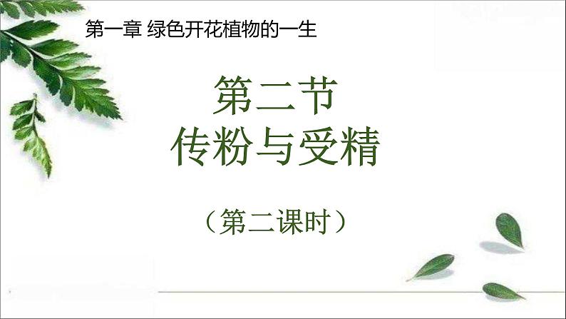 4.1.2传粉与受精 第二课时教学课件 ---2024年初中秋季济南版生物八年级上册01