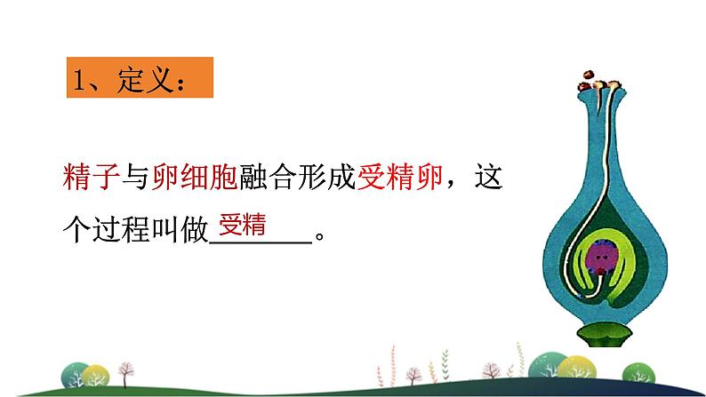 4.1.2传粉与受精 第二课时教学课件 ---2024年初中秋季济南版生物八年级上册08