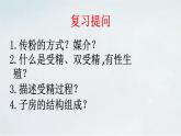 4.1.3 果实与种子的形成(1)课件 --2024年初中秋季济南版生物八年级上册