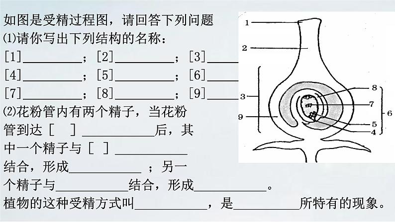 4.1.3 果实与种子的形成(1)课件 --2024年初中秋季济南版生物八年级上册02