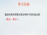 4.1.3 果实与种子的形成(1)课件 --2024年初中秋季济南版生物八年级上册
