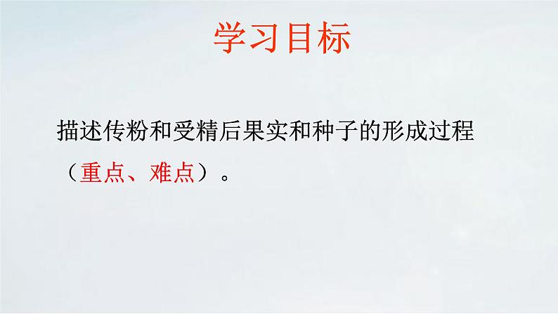 4.1.3 果实与种子的形成(1)课件 --2024年初中秋季济南版生物八年级上册04