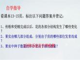 4.1.3 果实与种子的形成(1)课件 --2024年初中秋季济南版生物八年级上册