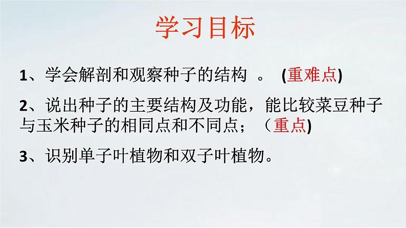 4.1.3 果实与种子的形成(2)课件 --2024年初中秋季济南版生物八年级上册06