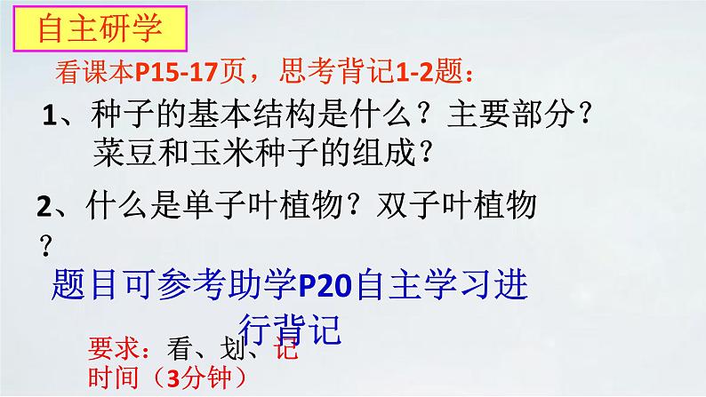 4.1.3 果实与种子的形成(2)课件 --2024年初中秋季济南版生物八年级上册07