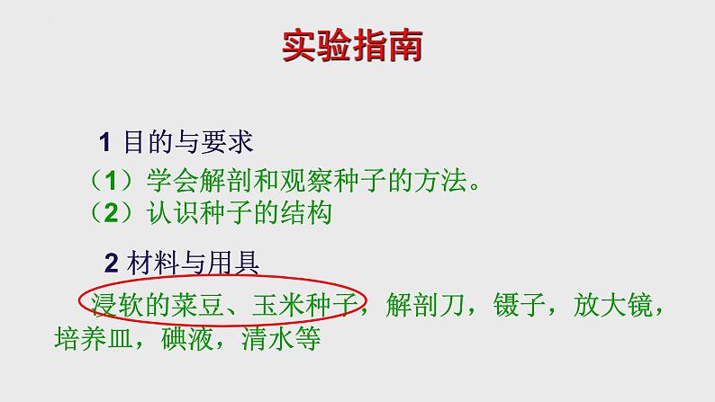 4.1.3 果实与种子的形成(2)课件 --2024年初中秋季济南版生物八年级上册08