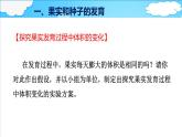 4.1.3 果实和种子的形成 课件 ---2024年初中秋季济南版生物八年级上册