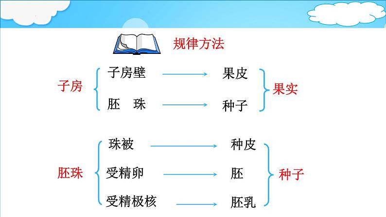 4.1.3 果实和种子的形成 课件 ---2024年初中秋季济南版生物八年级上册07